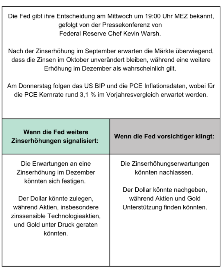 fed-fokus.png